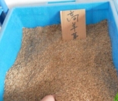 煙臺糊料黏稠性的要求